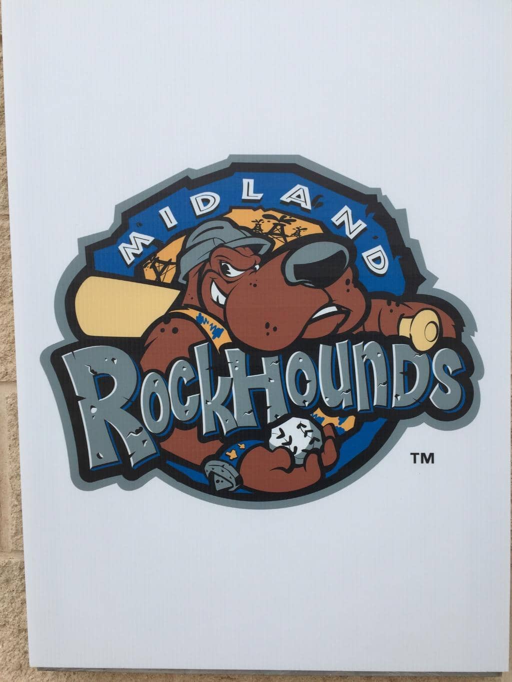 Scoreboard & Big Screen