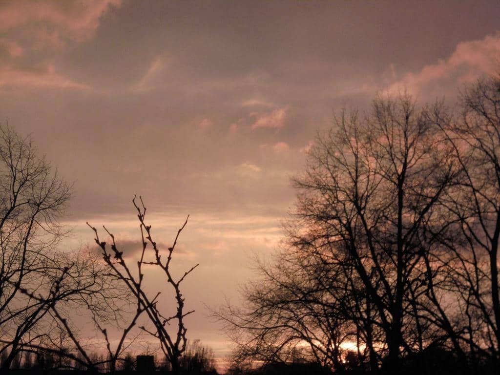 Children's Play Area