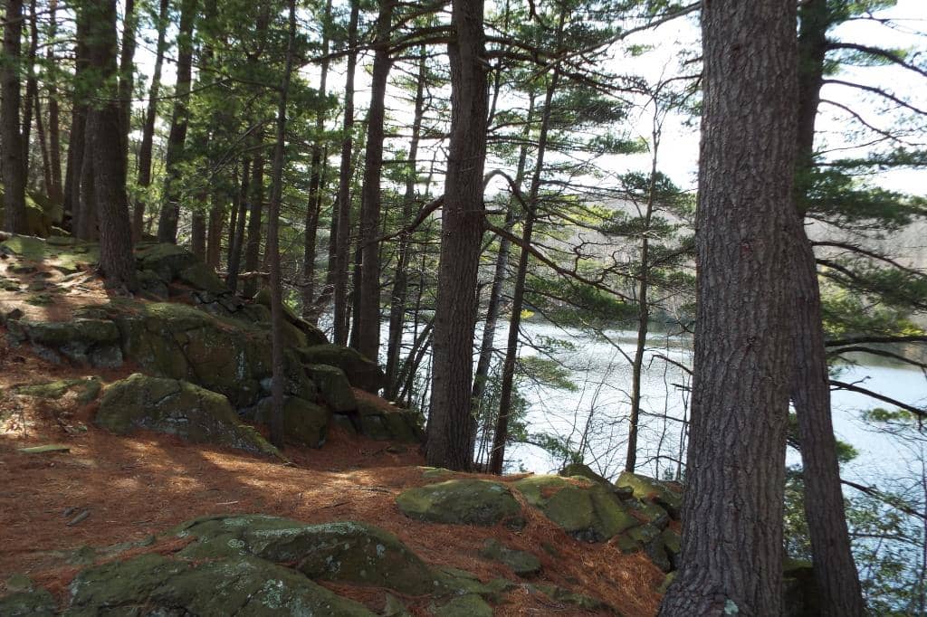 Lake Wintergreen Loop