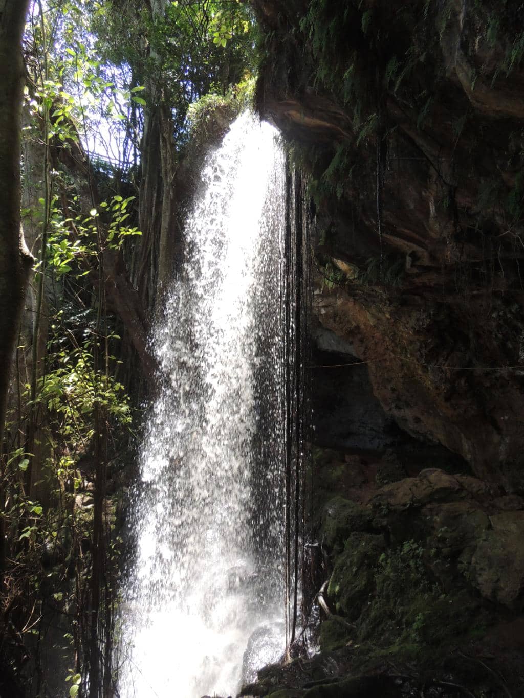 Serene Picnic Spots