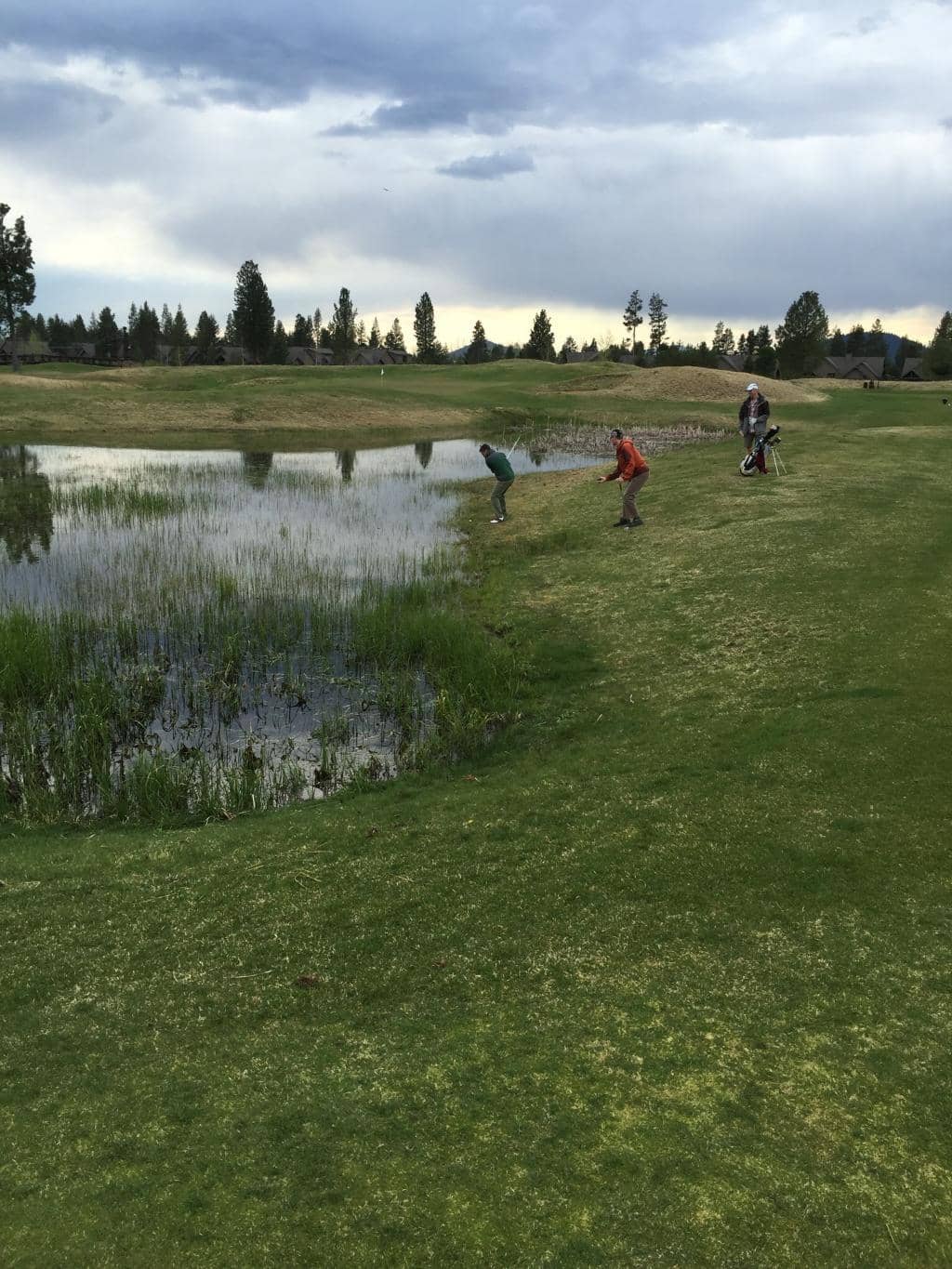 Equestrian Adventures