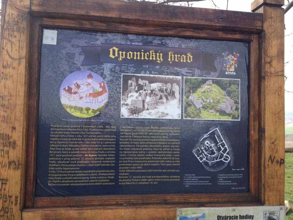 Enchanting Forest Hike