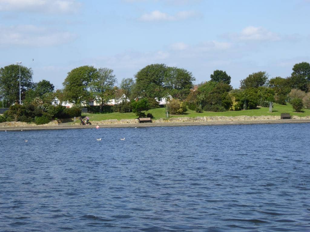 The Lake and Water Features