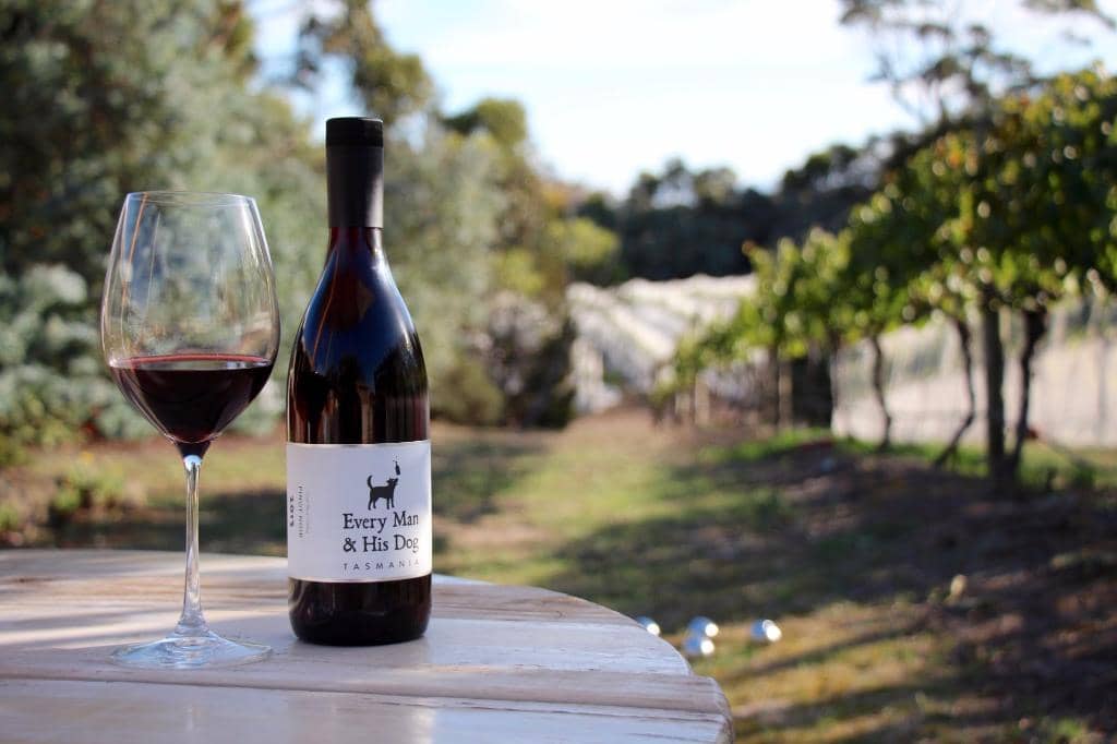 Dog-Friendly Atmosphere