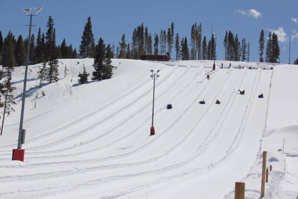 Forest Flyer Alpine Coaster
