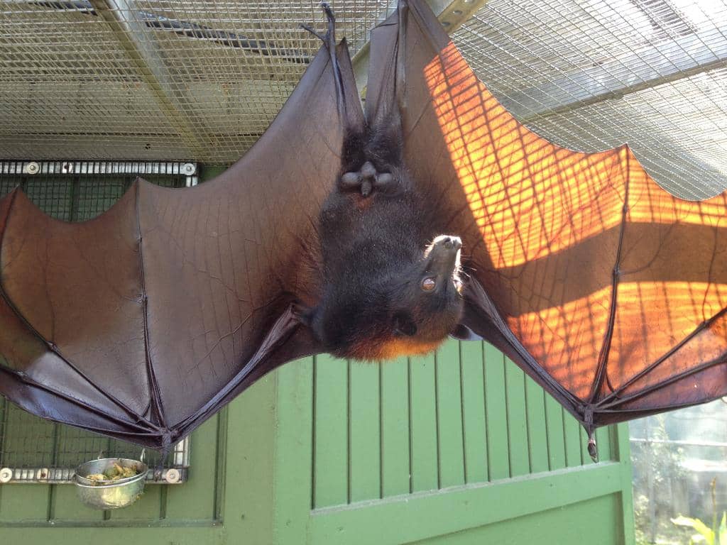 Conservation Education