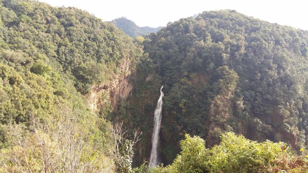Vertical photo