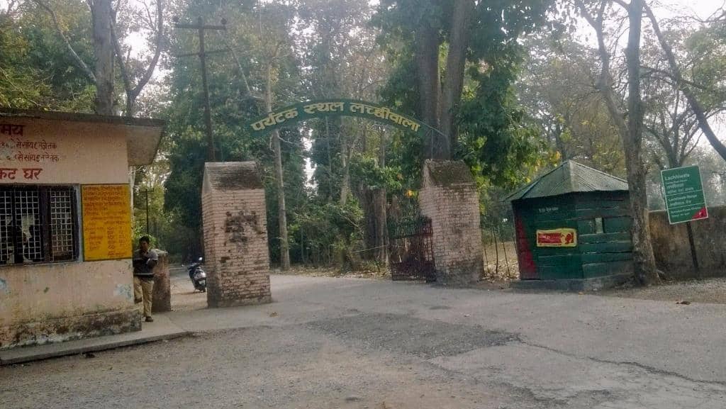 Lush Greenery & Walking Trails