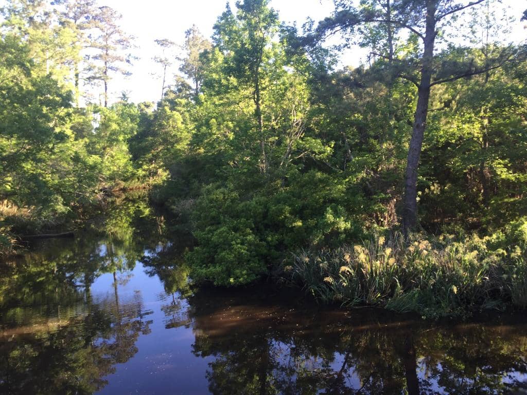 Kids Konnection Playground & Splash Pad