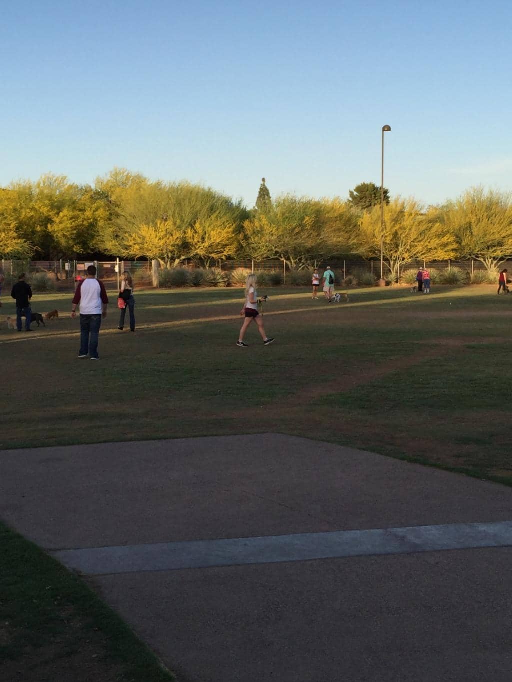 Playgrounds & Sports Facilities