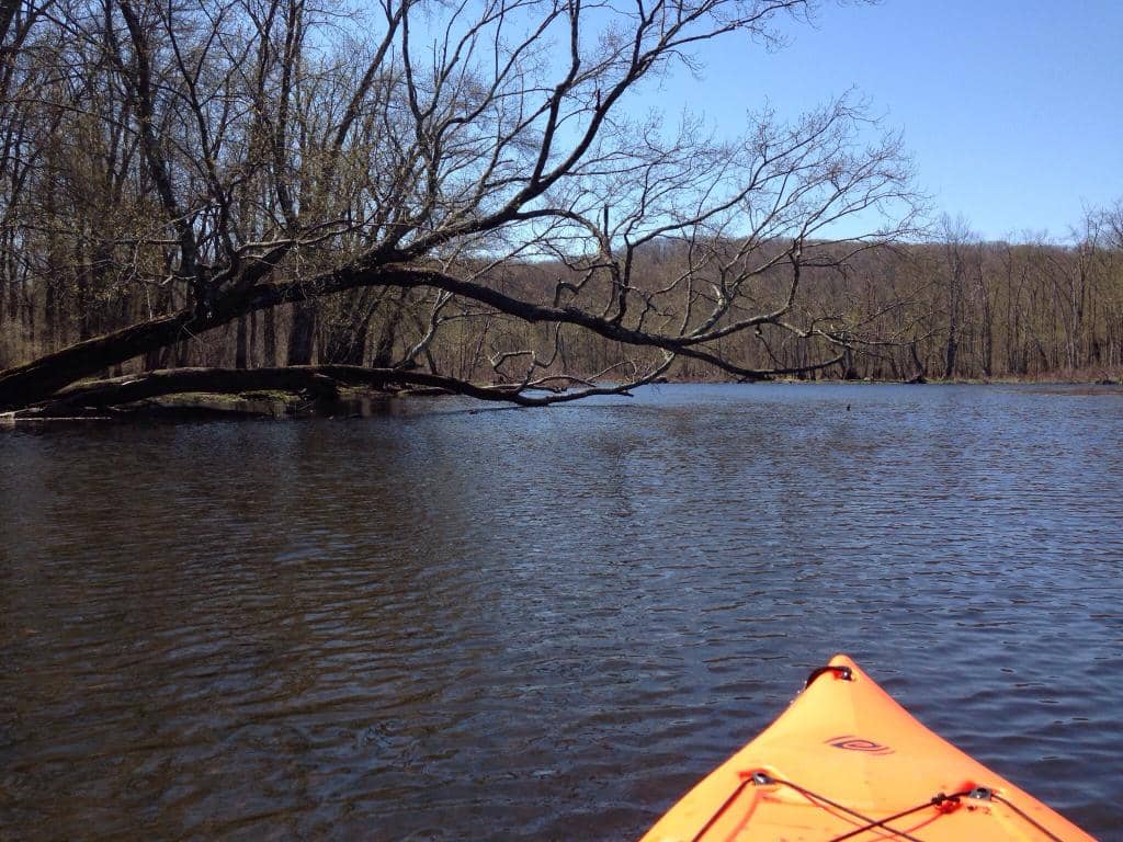 Kayaking the Bayou