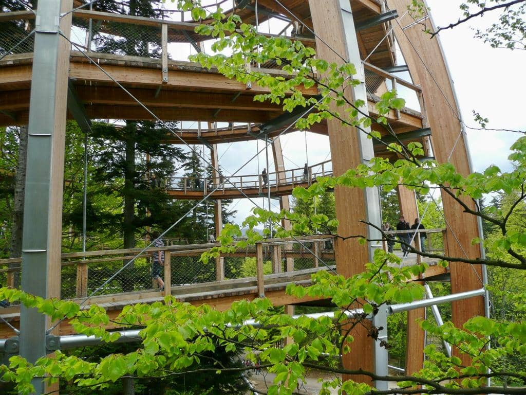 The Iconic Treetop Walkway
