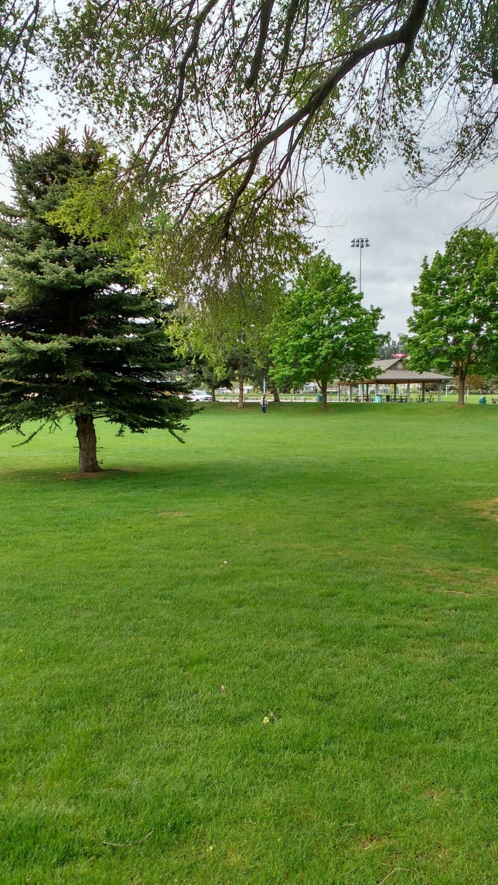 Community Playground