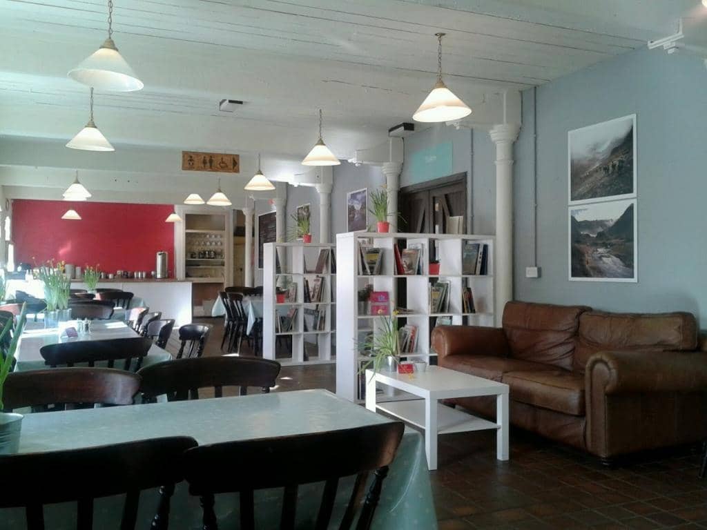 Fossil Hunting Adventures