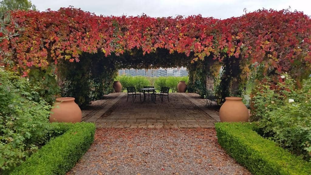 Andes Mountain Views