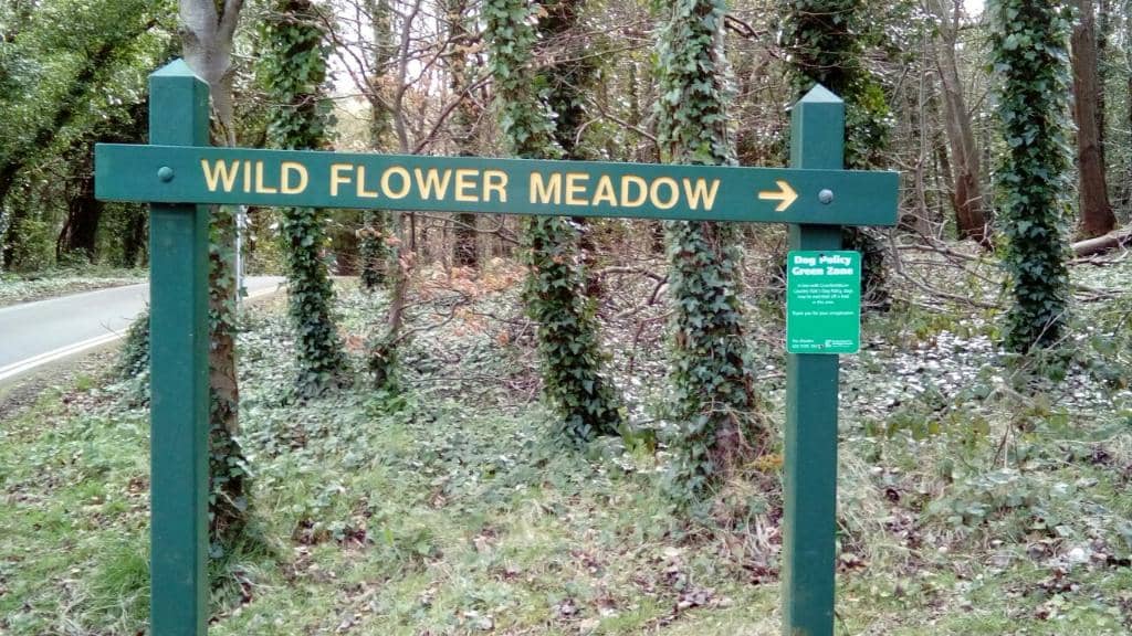 Woodland Trails