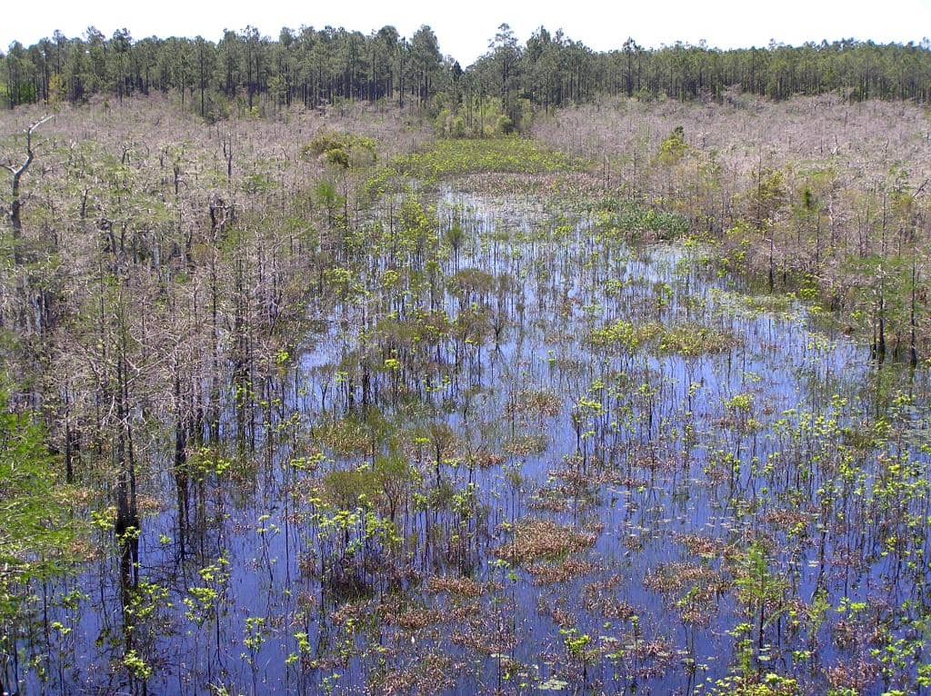River and Creek Exploration