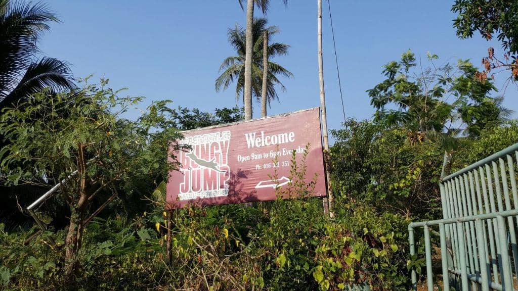 Jungle Coaster Thrills