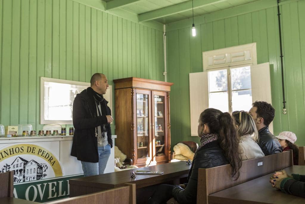 Baby Sheep Encounters