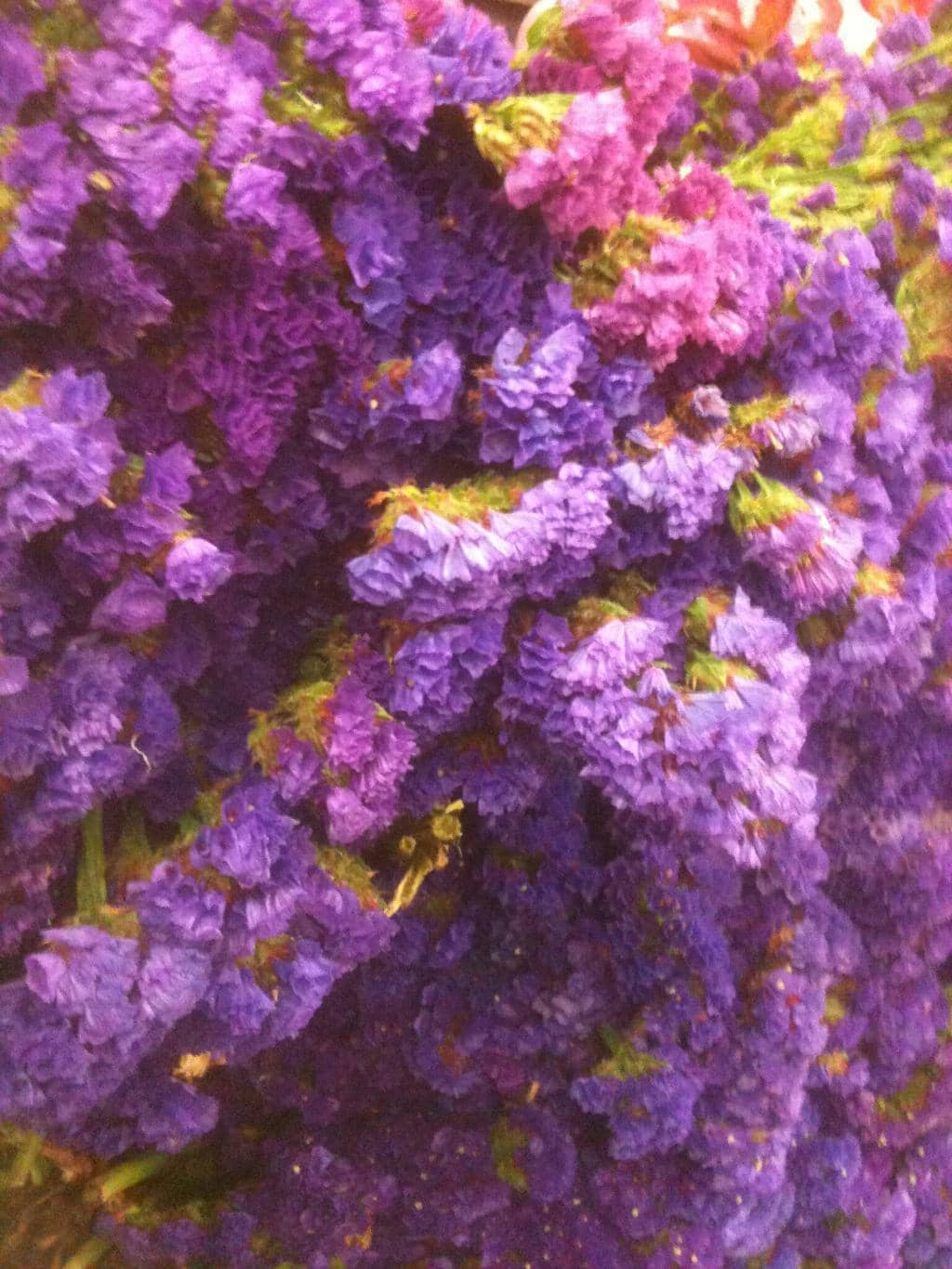 Vibrant Garland Creations