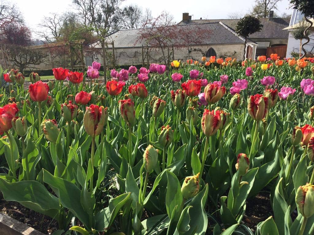 Walled Garden & Orchard