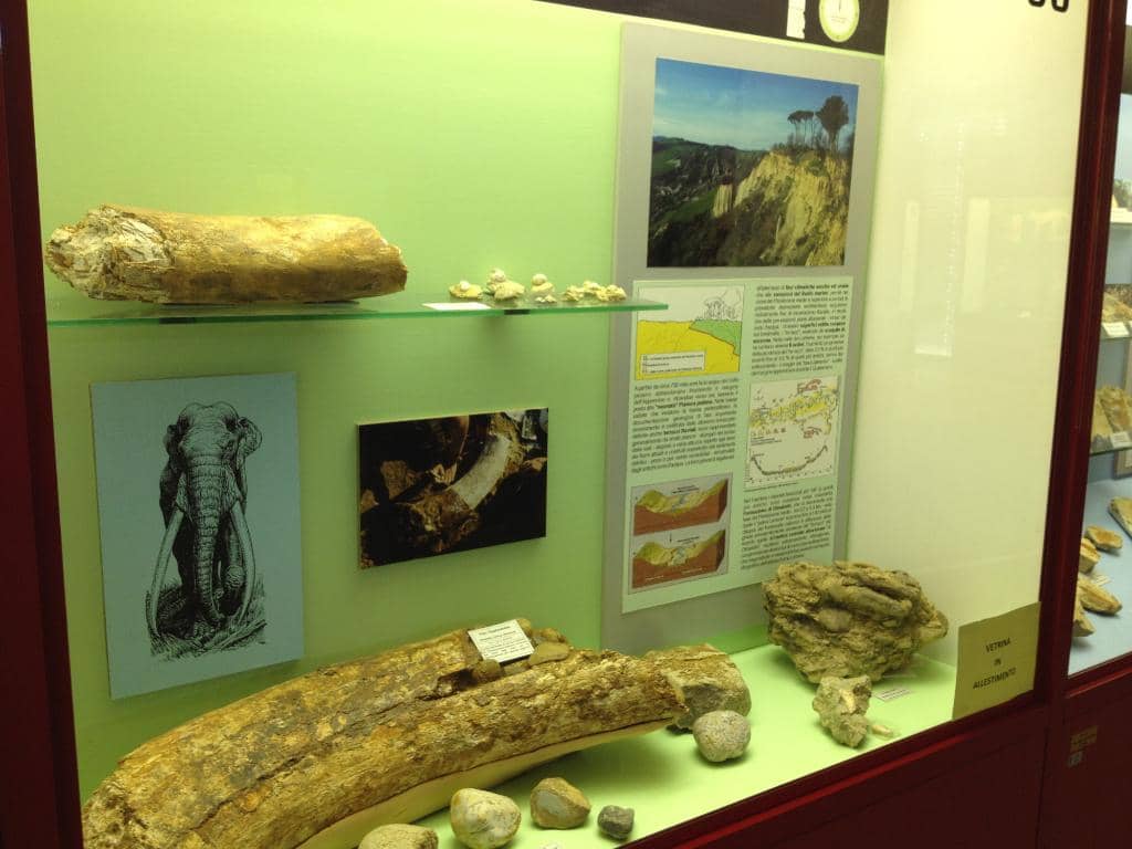 Temporary Art Exhibitions