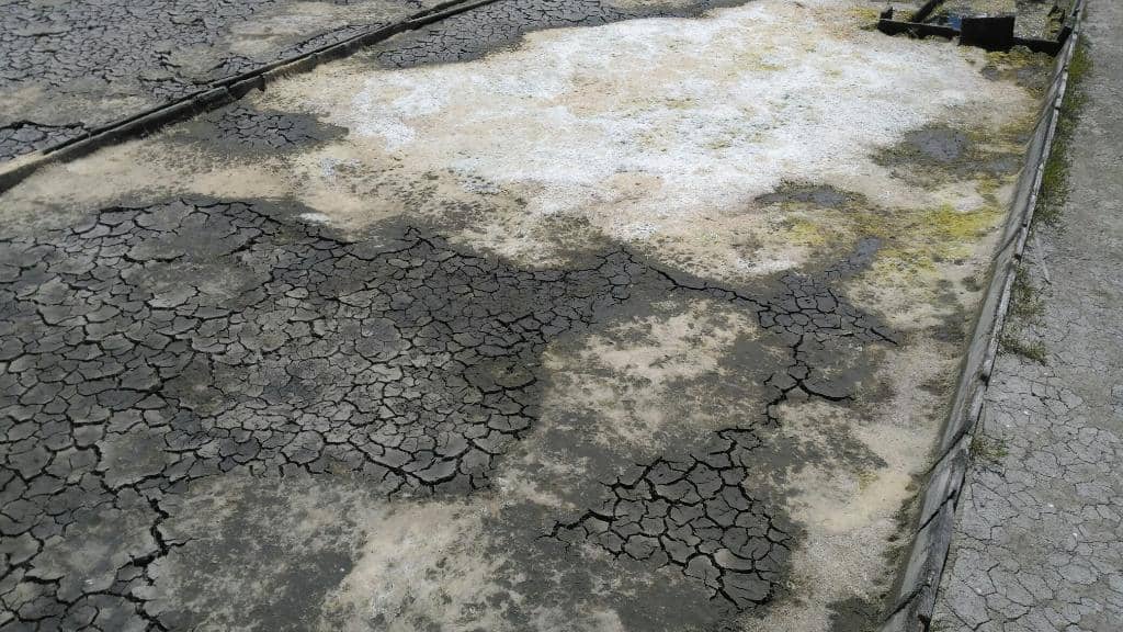 Bacalao Fishing Film