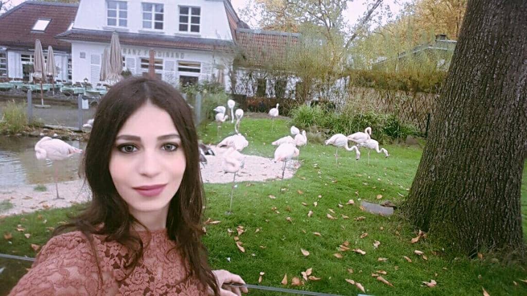 Fossilium & Aquarium