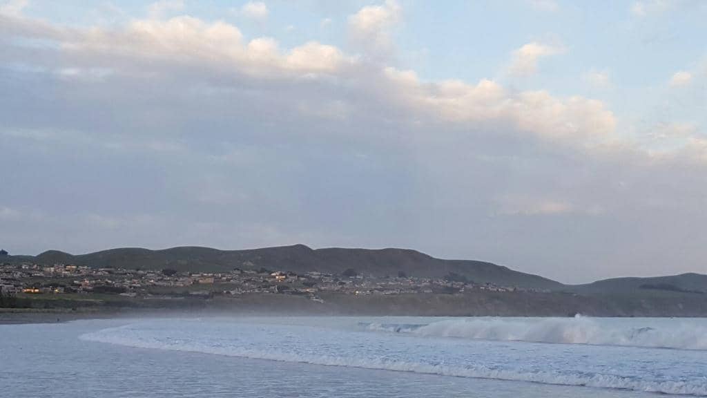 Dog-Friendly Paradise