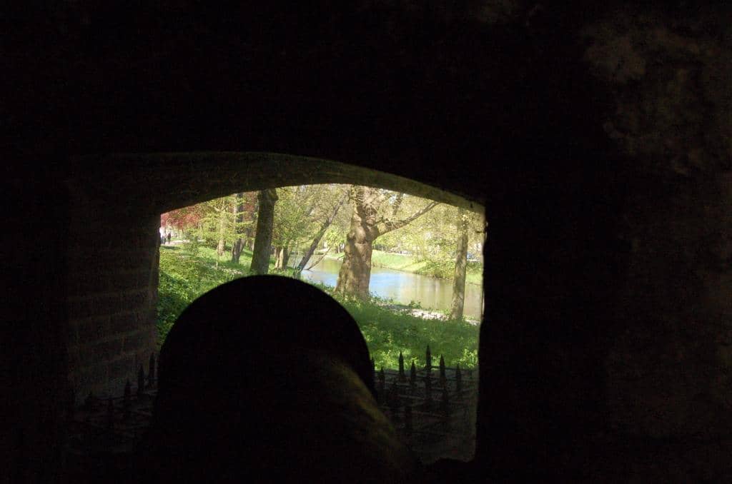 Vertical photo
