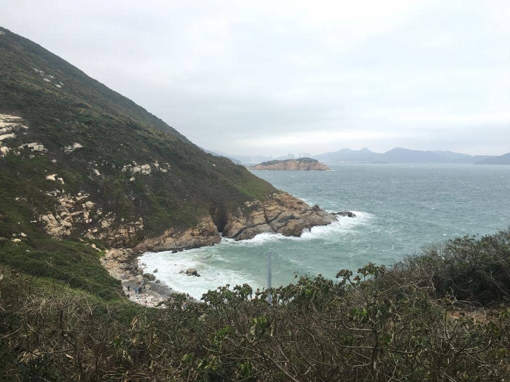 Miss Willy Whale Skeleton