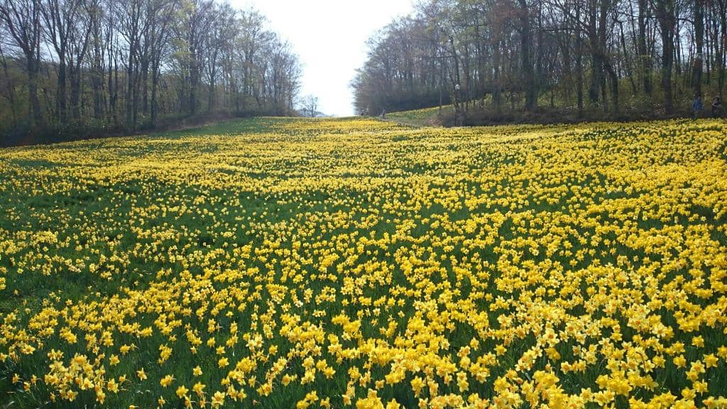 Beginner-Friendly Learning