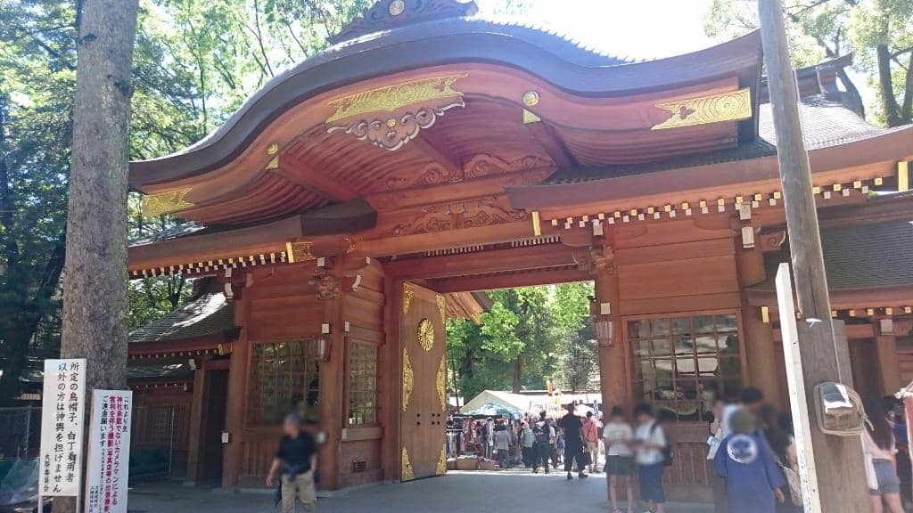 Ancient Keyaki Tree