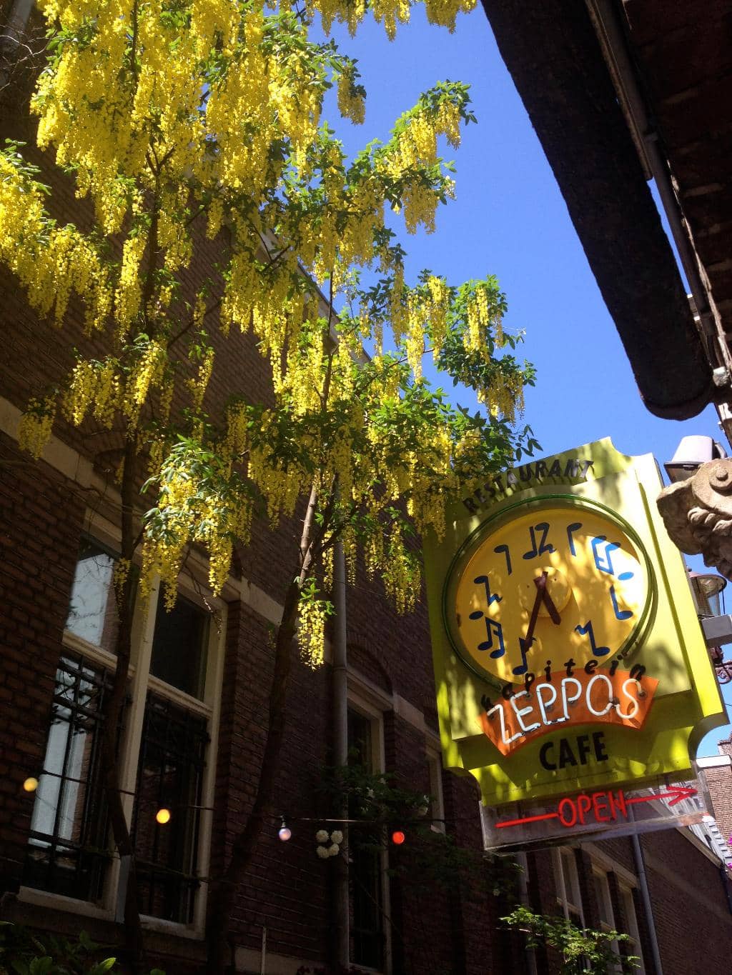 Cycling & Pedestrian Paths