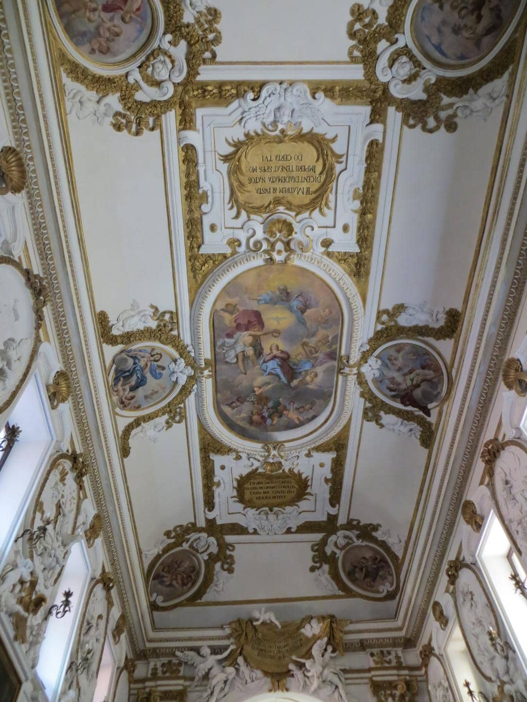 Vertical photo