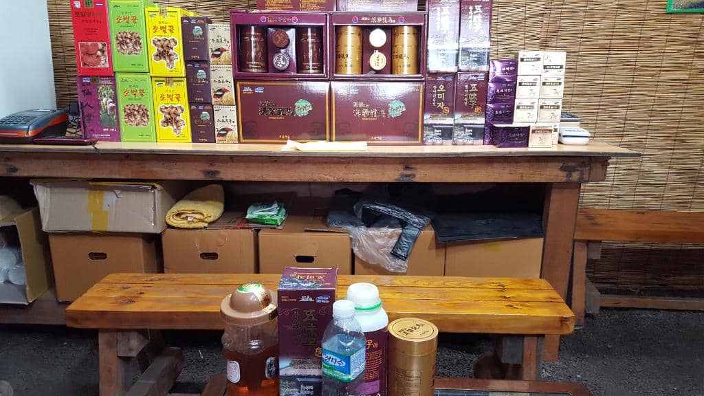 Canola Flower Fields