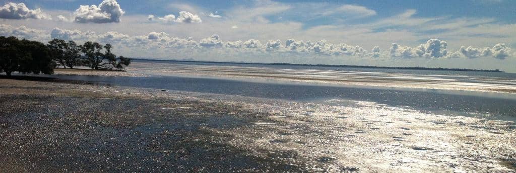 The Boardwalk Circuit