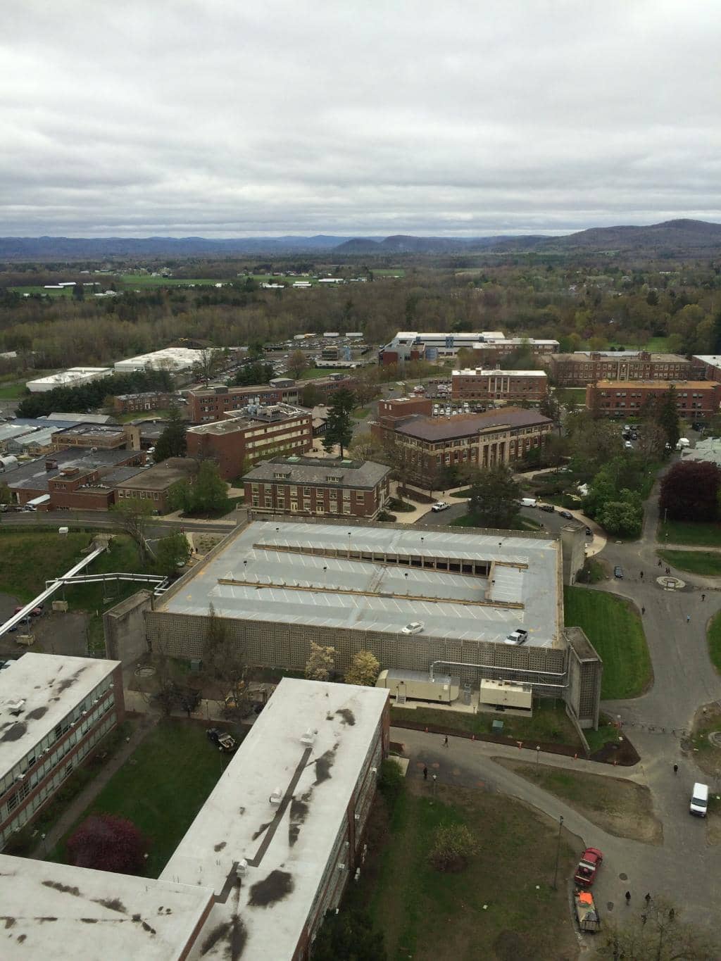 Campus Sculptures & Landscaping