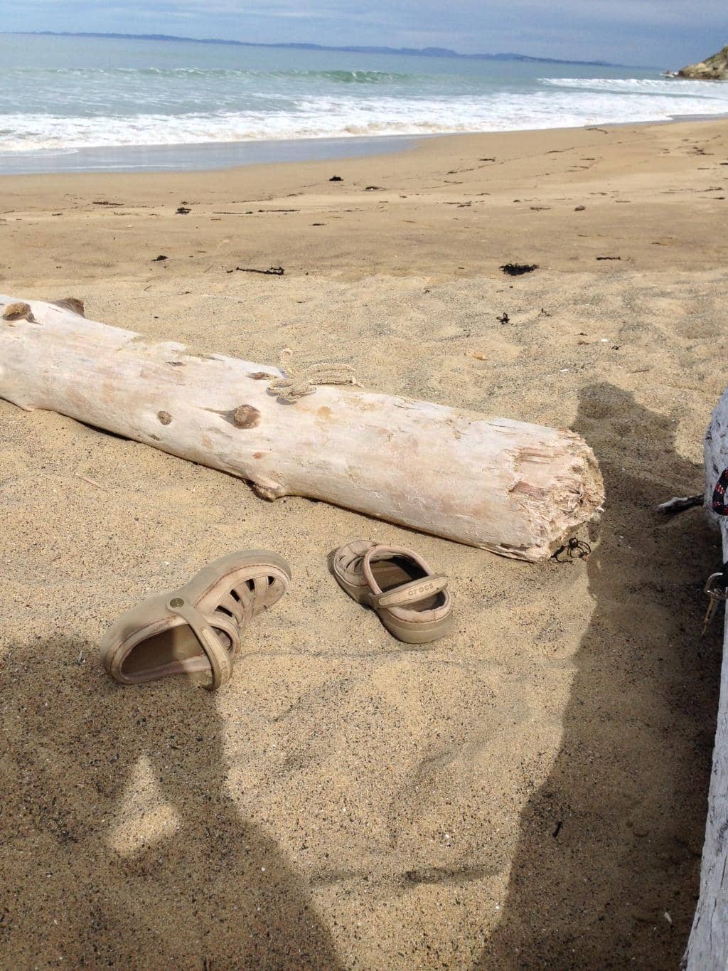 Freshwater Stream Fun