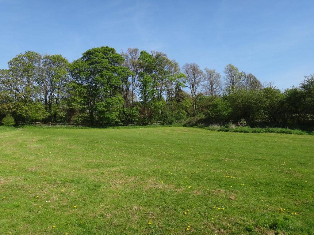 Community Orchard