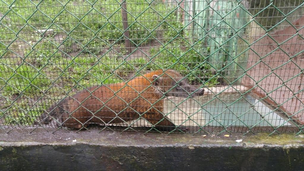 Spacious, Naturalistic Habitats