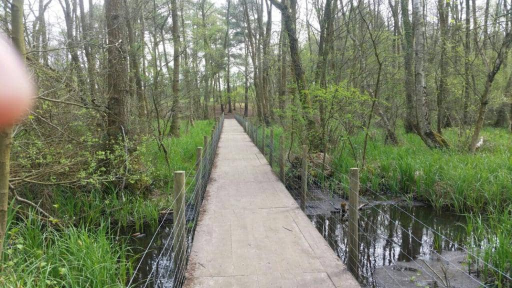 Woodland & Heathland Trails