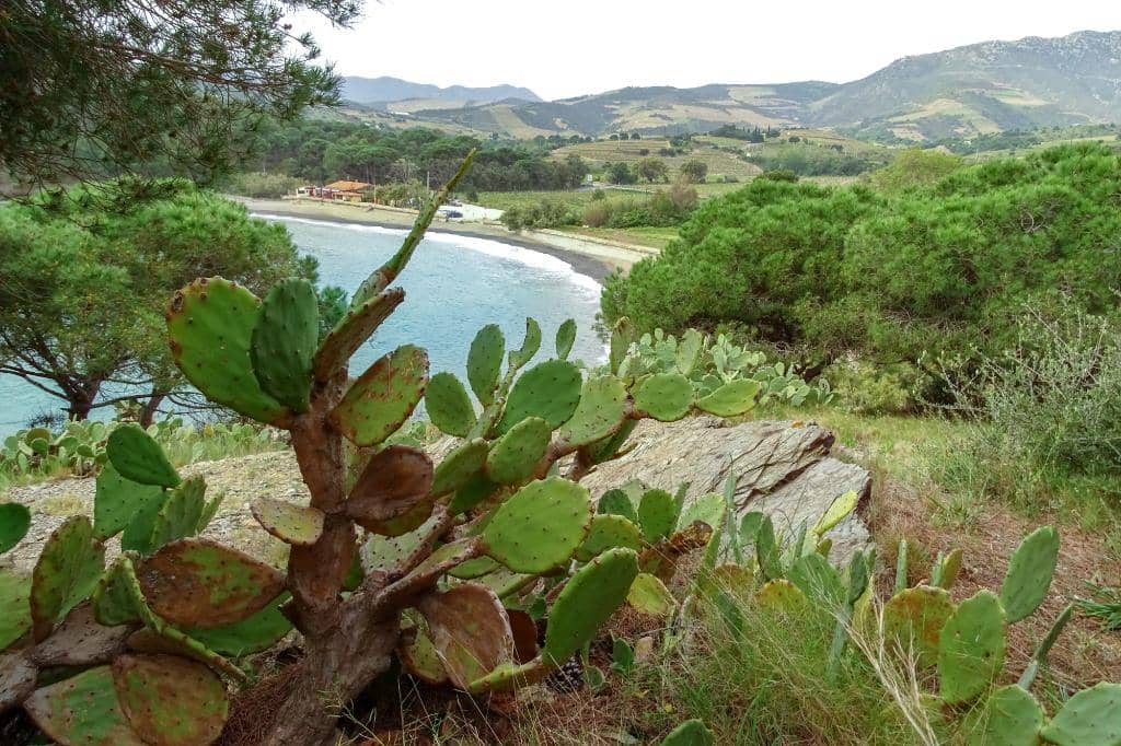 Secluded Coves