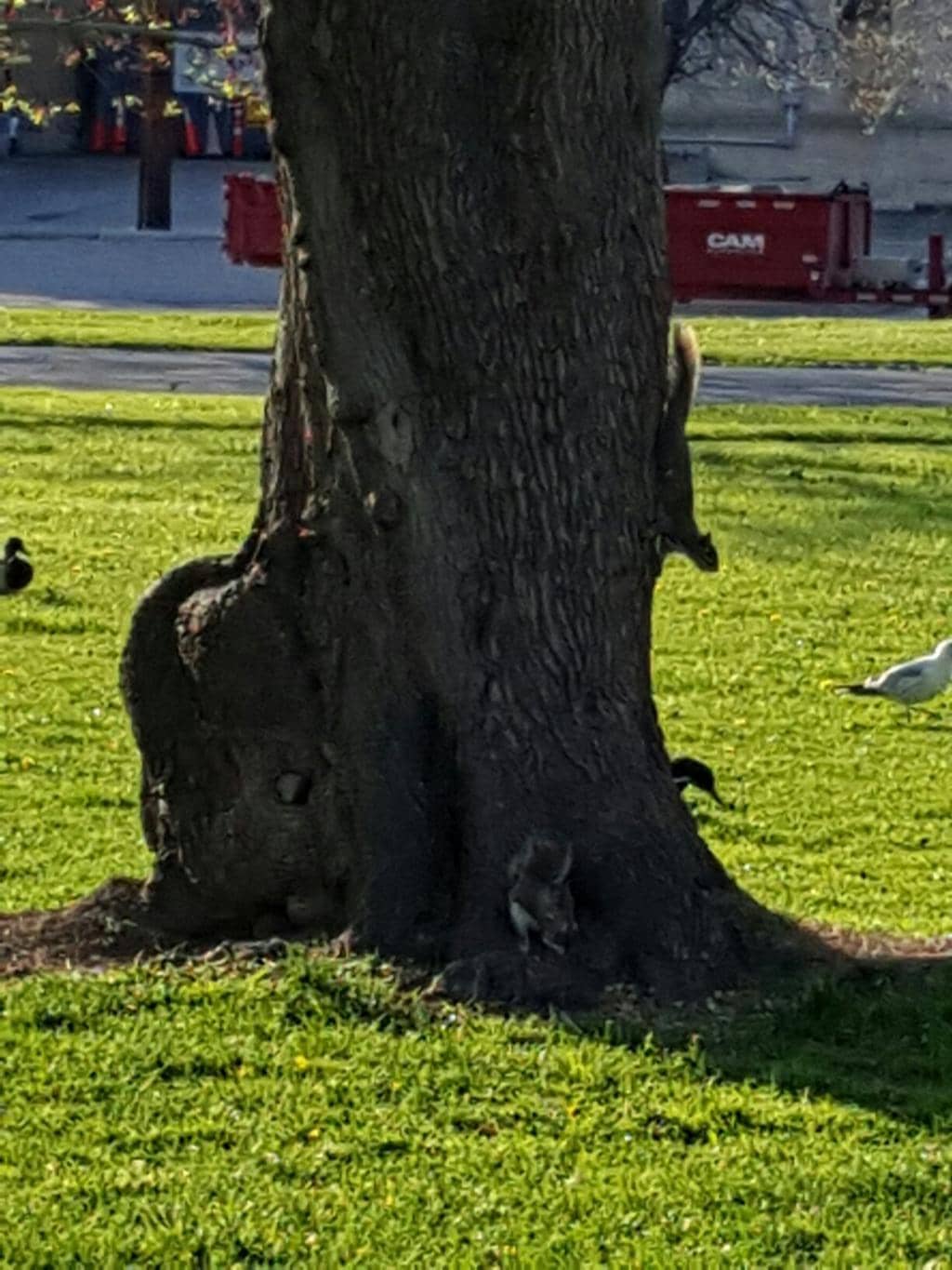 Vertical photo