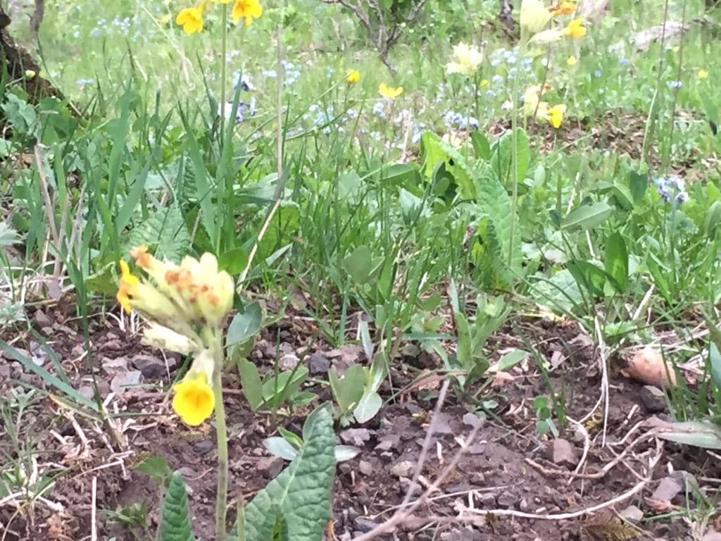 Haghartsin Monastery