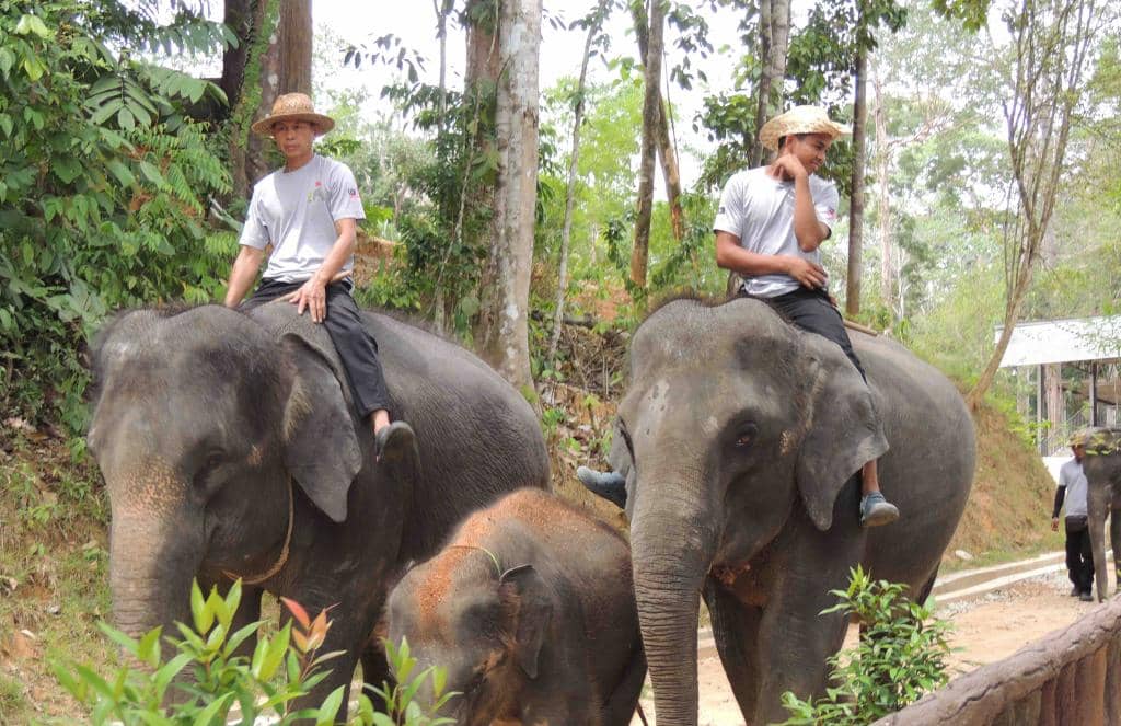 Third hero image