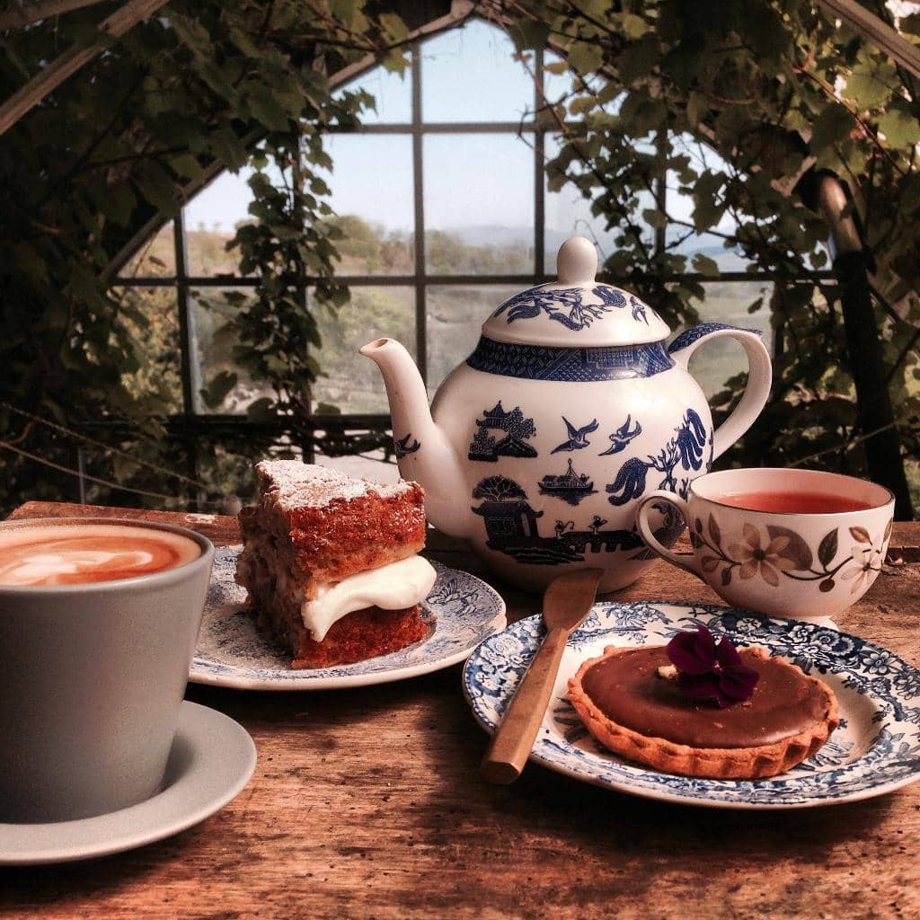 Farm Animal Encounters