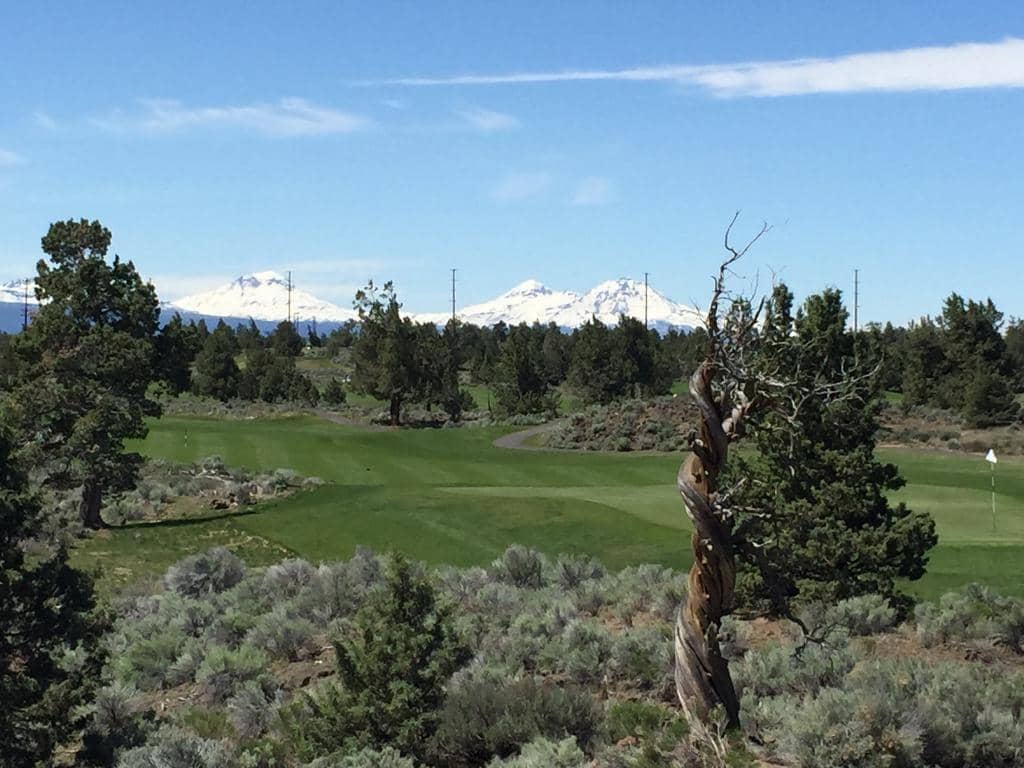 Challenging Nicklaus and Fazio Designs