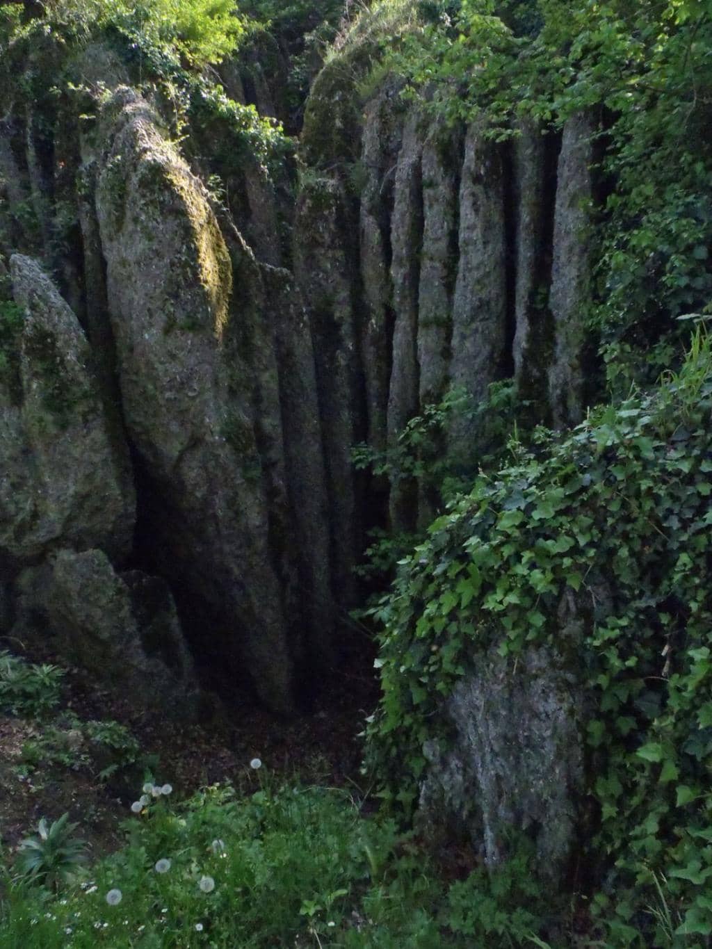 WWII Resistance History