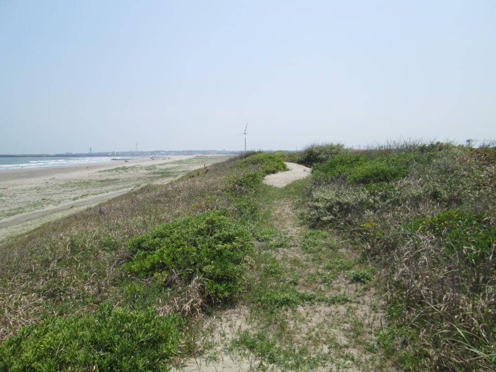 Vertical photo